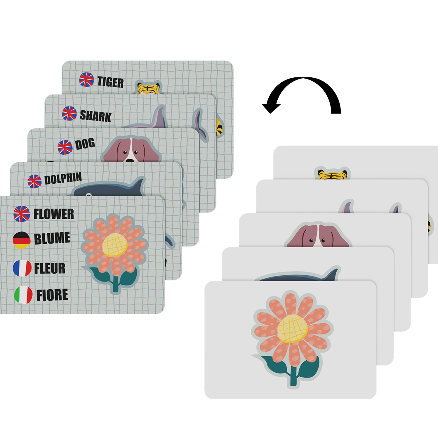 With the included word cards, older kids practise spelling and learn words.