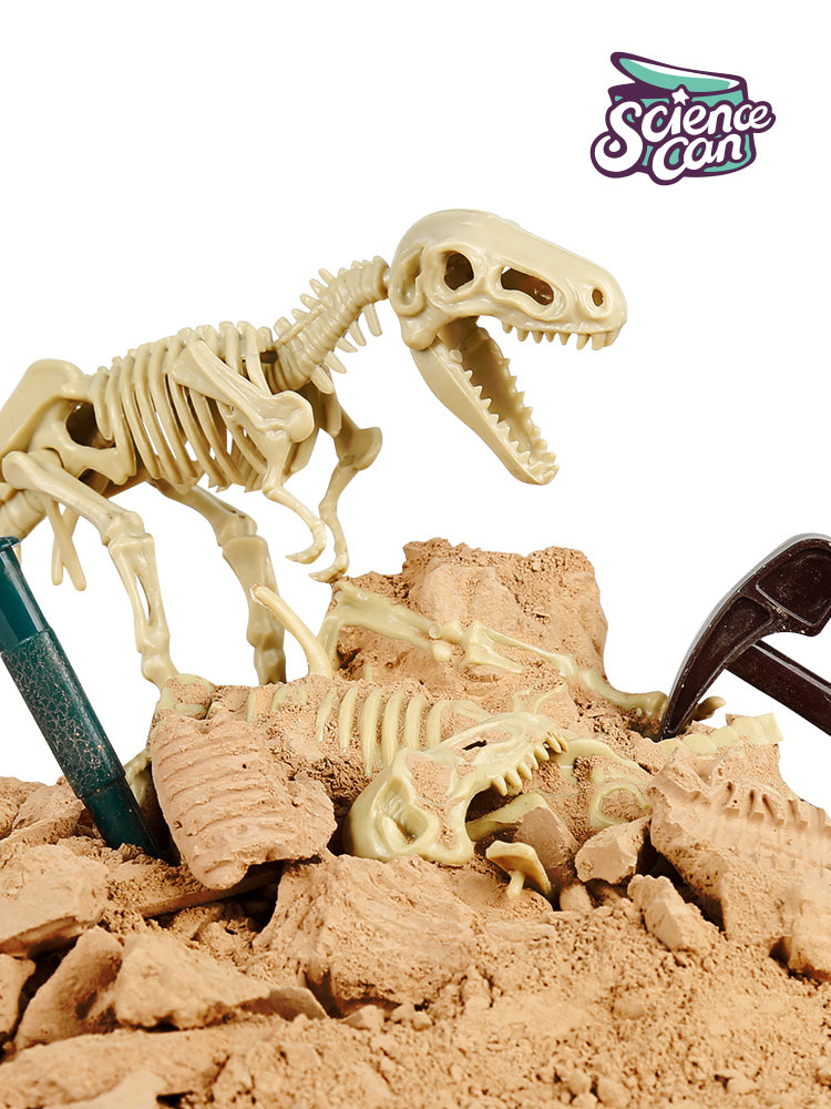 Ob Tyrannosaurus Rex, Spinosaurus oder Pterodaktylus – mit dem Fossilien-Ausgrabungsset verwandelt sich das Kinderzimmer im Handumdrehen in ein Museum, in dem Kinder ihre Fundstücke auf einem Podest samt Ausstellungskarte präsentieren.
