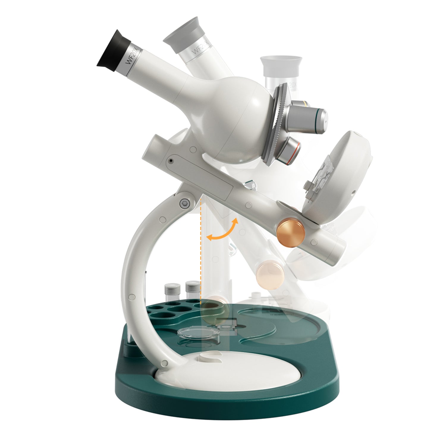The ergonomic design of the microscope allows children to make their observations while sitting or standing.