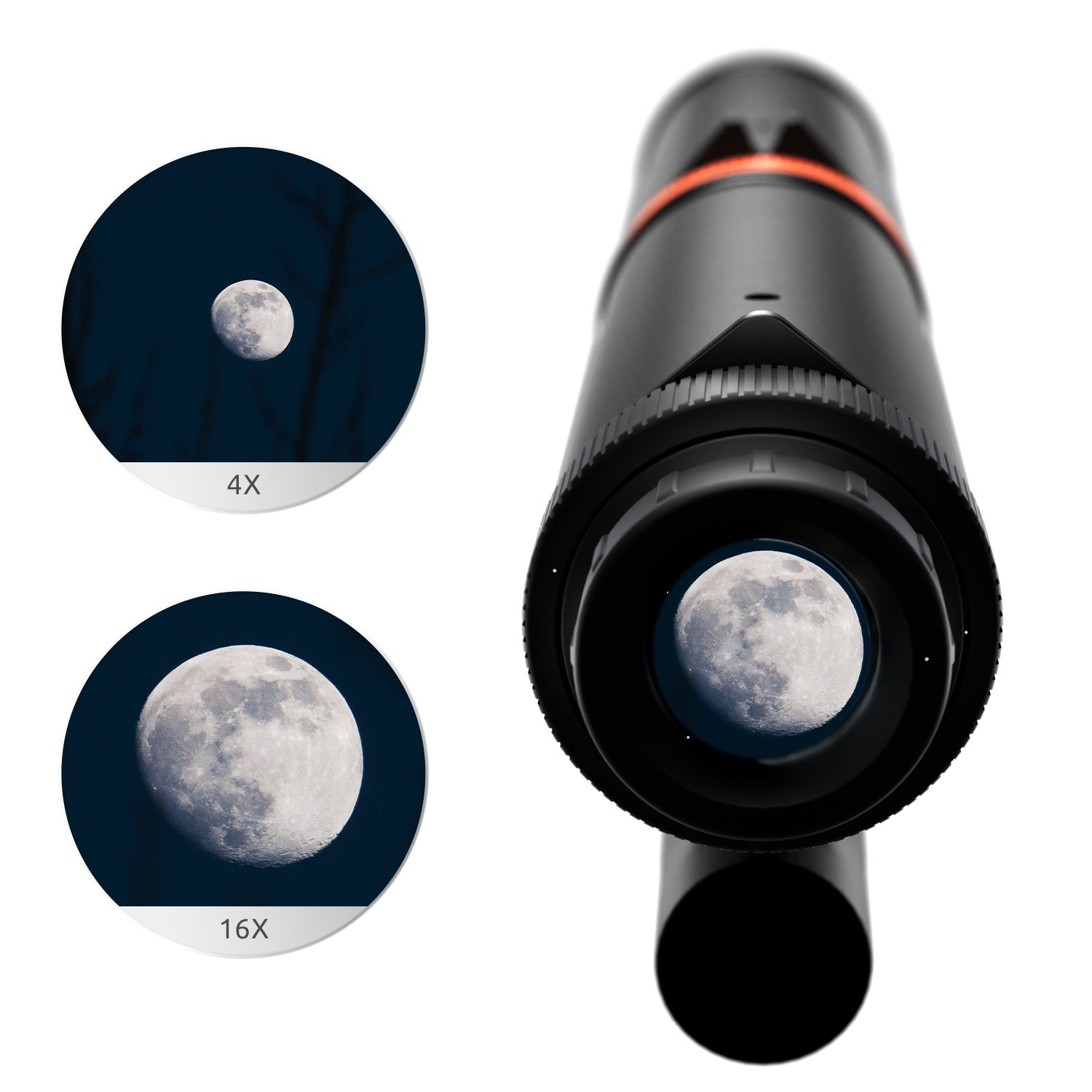  Kids discover small and big, near and far things with the telescope with 16x magnification or the binoculars and monoculars with 4x magnification. 